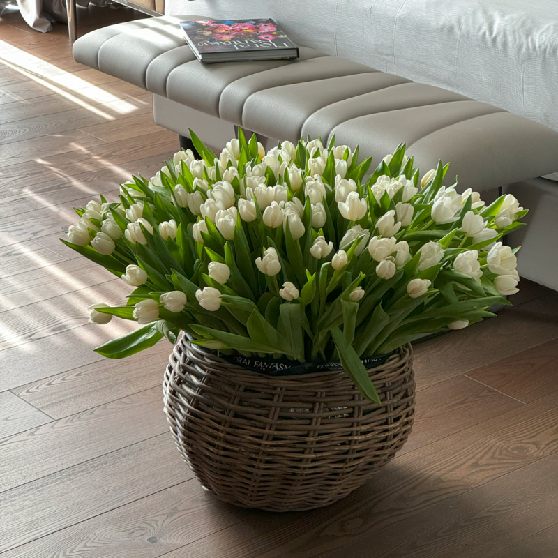 White Tulips
