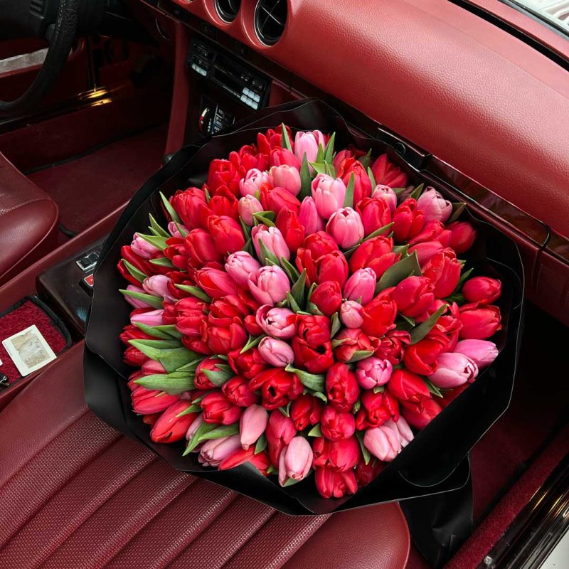 Tulips of Love