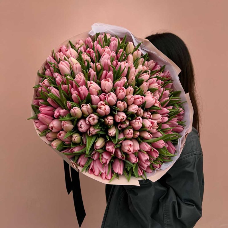 Blush Tulip Symphony