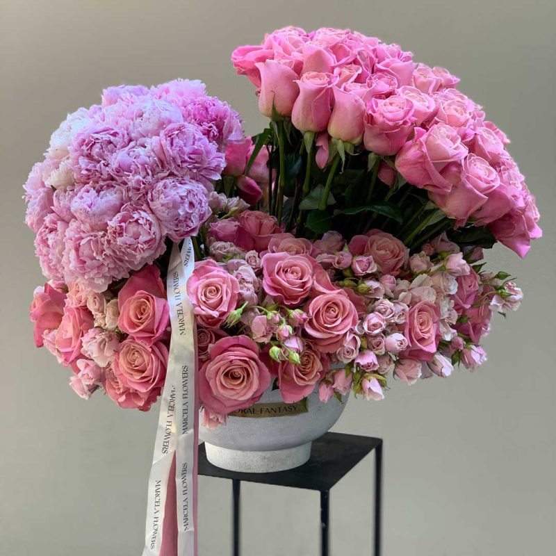 Soft pink petals, full of grace