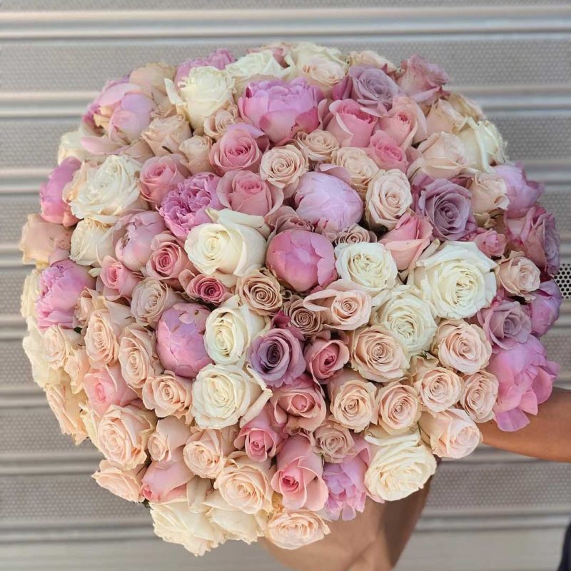 Soft Hues of Peonies