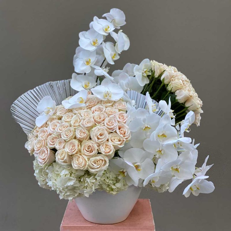 Pure beauty in every bloom