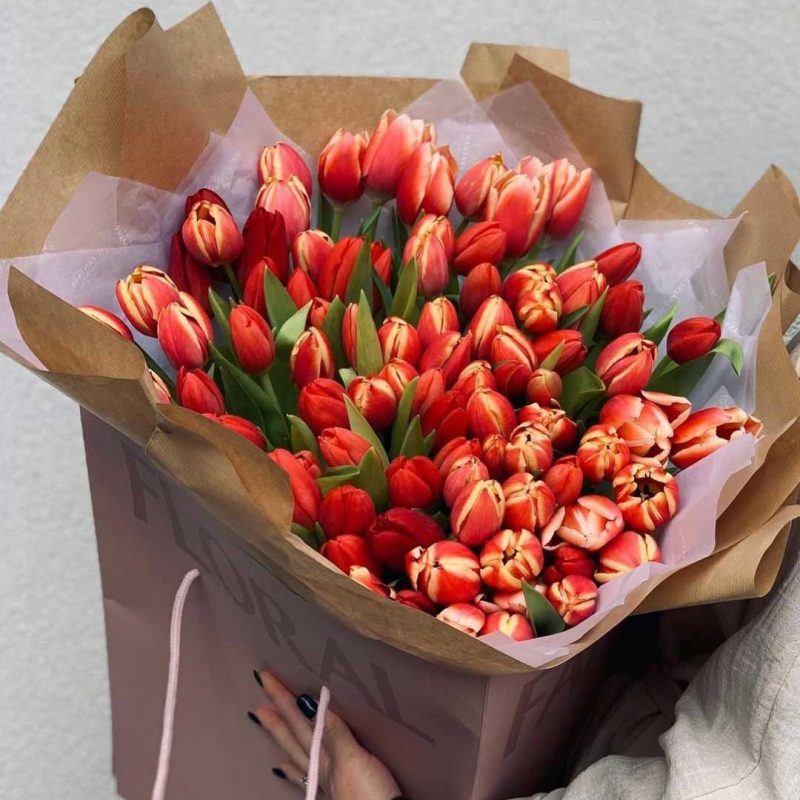 Fiery Tulips